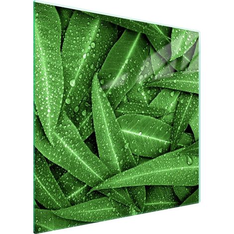 Piastra protettiva in vetro per piano cottura 50x52 Verde (1/5)