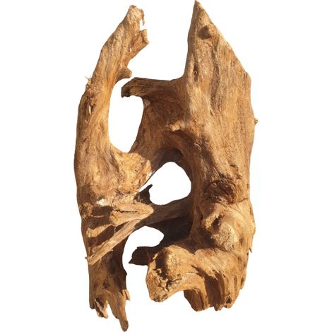 BioRoot Mangrove L / 40-50 cm / Mangrovenwurzel für Terrarium und Aquarium (1/5)
