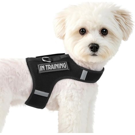 Harnais pour Chiots de Petite Taille, Taille réglable + 2 Bandes Velcro (1/5)