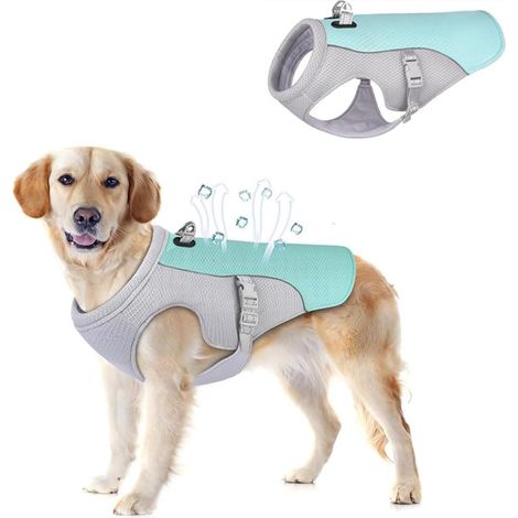 Kühlweste für Hunde (Blau, XXL) - Kühljacke für Hunde - Kühlweste für Hunde - Hundekühlung - Kühlweste - Mit verstellbarem D-Ring - Atmungsaktiv (1/5)