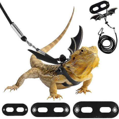 Reptilienleine aus Leder, Outdoor-Geschirr mit Fledermausflügeln, verstellbare Leine, 3 Größen ---
