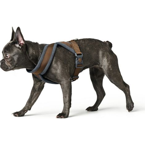 Harnais pour Chien Hunter London Comfort 52-62 cm Marron Taille S/M (1/3)
