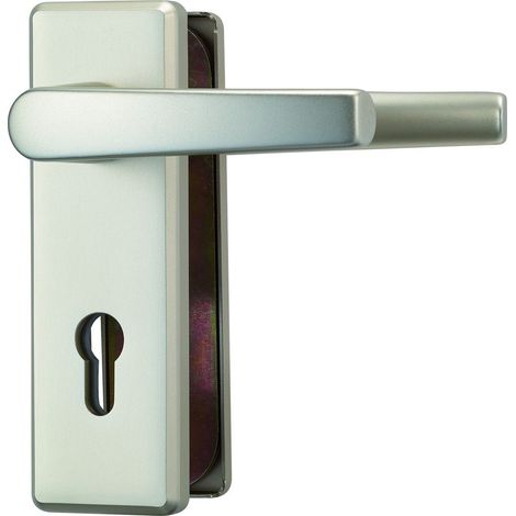 Ferrure de porte en aluminium avec poignée des 2 côtés Argenté (1/5)