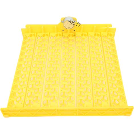 Vassoio per incubazione uova completamente automatico da 154 pezzi, resistente, con struttura cava, per uova di gallina, anatra e quaglia (220V).