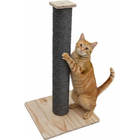 62 cm Árbol Rascador para Gatos y Gatitos - Poste Cuerda Sisal con Base Bambú