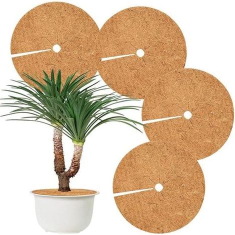 TAISHENGDA-Kokosnuss-Pflanzenschutzmatte, 4er-Set. Kokosnuss-Schutzscheibe, Winterschutz für Hotelgärten (40 cm). (1/5)