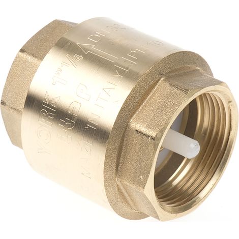 Clapet antiretour en Laiton RS PRO BSPP 1-1/4" ( Prix pour 1 )