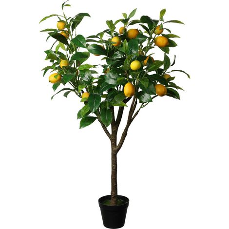 Grande albero di agrumi in vaso da 115 cm (1/3)