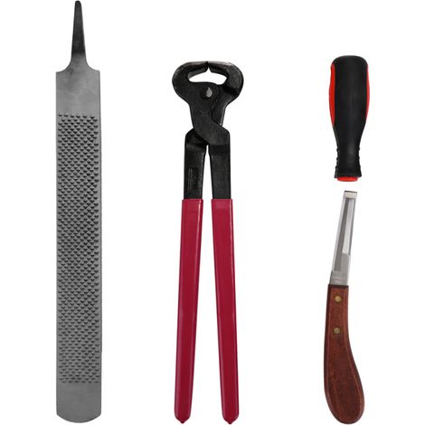 Juego de 4 alicates para herradores, lima y escofina con mango, herramientas para el cuidado de los cascos de los caballos. (1/4)