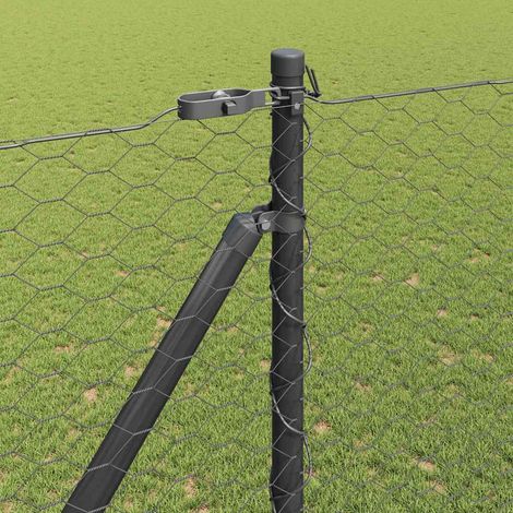 Maison Exclusive - Schweißdrahtzaun mit Spikes 50 x 1,6 m (B x H)