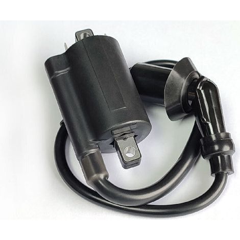 Passend für Yamaha YAMAHA/VIRAGO250/XV125/XV250/1995-2007 Zündspule (1/4)