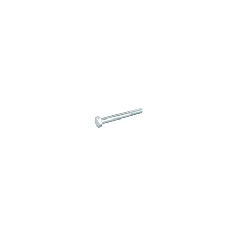 Vite testa M8 x 70mm GGP - CASTELGARDEN 112691600/0