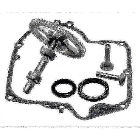 Arbre à cames de remplacement compatible avec Briggs & Stratton 697110 (1/4)