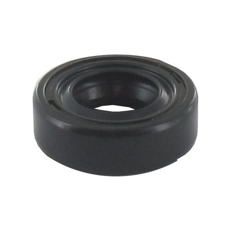 Joint spi 12 x 22 x 7mm GGP - CASTELGARDEN 118550599/0
