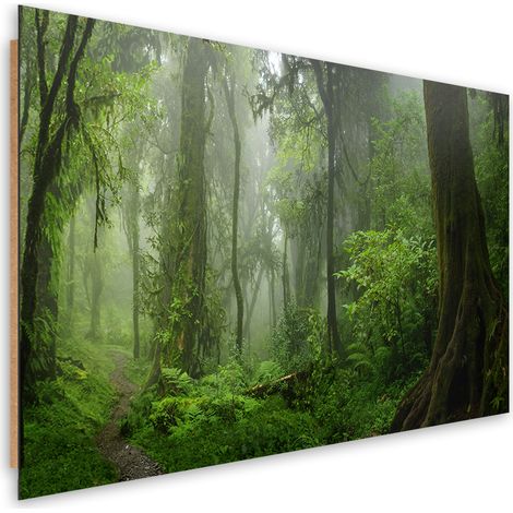 Quadro deco panel, Foresta della giungla tropicale - 90x60 (1/5)