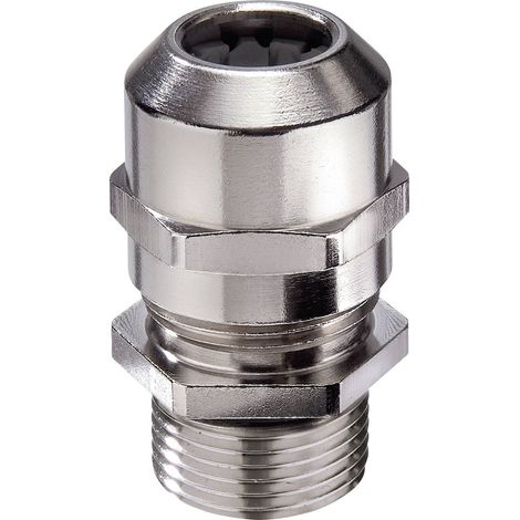 Presse-étoupe Wiska EMSKV-L 25 10065011 M25 laiton laiton 50 pc(s) W32798