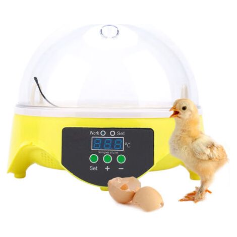 Mini incubateur numérique pour 7 œufs de poules, canards et autres oiseaux (kit d'outils) (1/5)