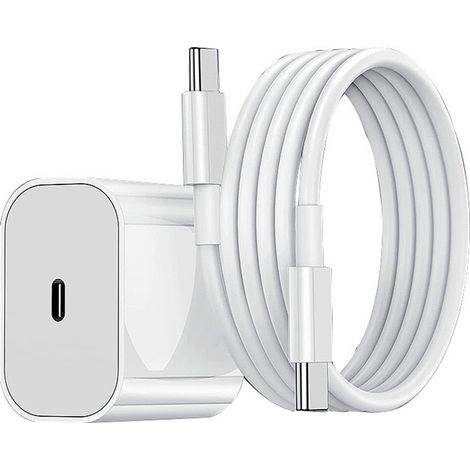 Boîtier de câble de charge rapide Charger-PD [2 m] + tête de charge PD 20 W [norme européenne] (1/5)