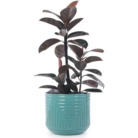 CHICFURN Maceta grande de cerámica Ø 42,8 cm cian, esmaltado brillante con drenaje (1/5)