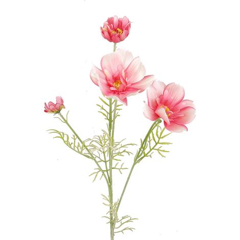 Cosmos Galsang artificiel, rose foncé, longue tige, couleur inaltérable, en soie, pour la maison, les fêtes et les mariages. (1/5)