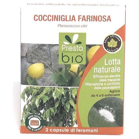 Feromone contro Cocciniglia Farinosa Ueber (1/2)