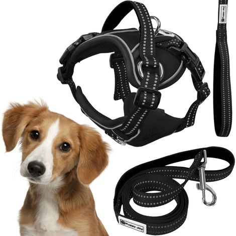 TUTUMI HUNDELEINE UND GESCHIRR PJ-055 M BLACK
