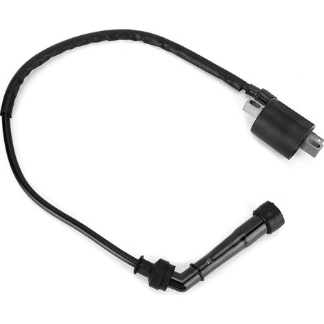 Bobine d'allumage moteur moto auto compatible YAMAHA Rhino 660 2004-2007 (1/5)