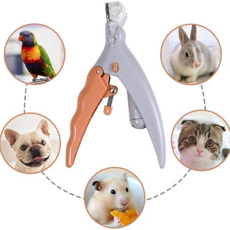 Coupe-ongles pour animaux - Lumière LED - Bac de récupération - Coupe-ongles pour chiens - Coupe sécurisée - Acier inoxydable (1/5)