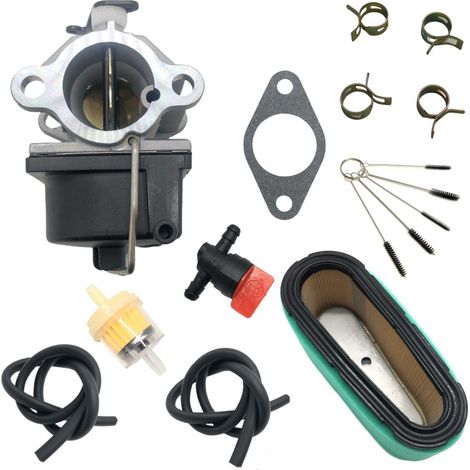 Carburateur compatible avec 640065, 640065A, OHV110, OHV115 et OHV120 (808-043-1) (1/4)