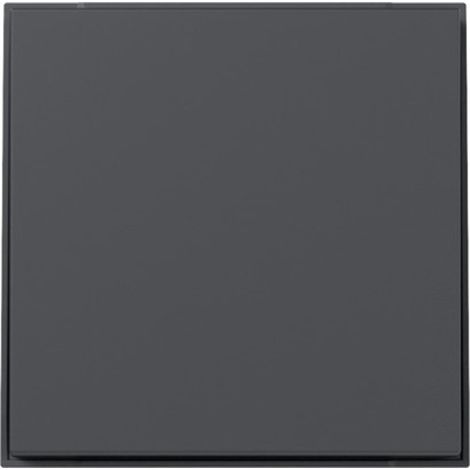 Gira Wippe gerade Gira TX44 Anthrazit [349667], 3496 67