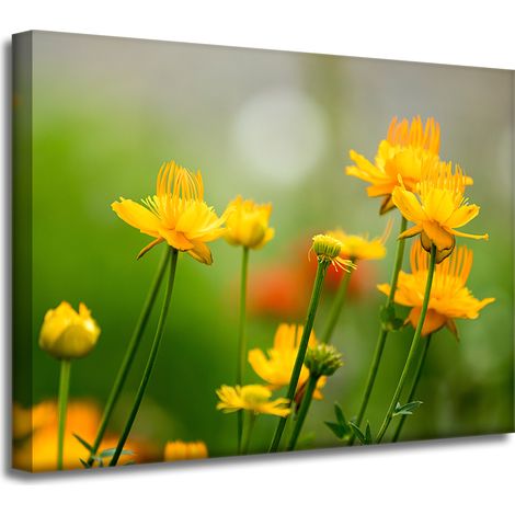 Leinwanddruck Botanik Gelbe Blumen 40x30 cm