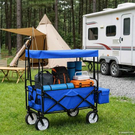 vidaXL Carrito de mano plegable de acero con capota azul (1/5)