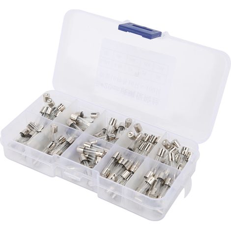 Fusibles en verre FastBlow 5x20 mm, kit de 100 pièces pour la protection des circuits (1/5)