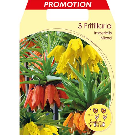 FRITILLARIA IMPERIALIS MIX (CONFEZIONE DA 3 BULBO)