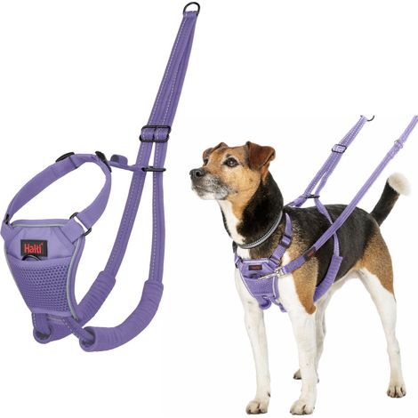Harnais Anti-Traction pour Chien Taille XS, Violet (1/5)