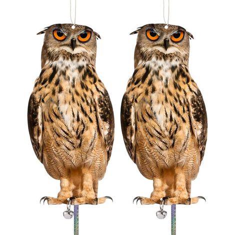 Juego de 2 búhos falsos para ahuyentar pájaros. Dispositivo para espantar palomas y pájaros carpinteros. Mantener alejados los huertos y jardines (1/5)