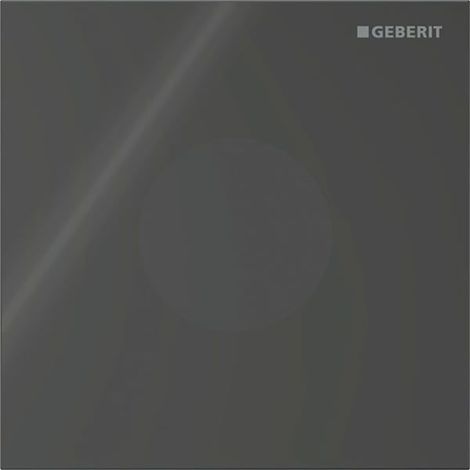 Geberit Drückerplatte für Typ 40 Urinalsteuerung, rund, 12,5x12,5x0,4cm, Schwarz, 246120SJ1 (1/5)