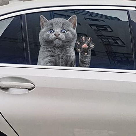 CSPARKV （28×30×0.1cm）Cat Car Window Stickers,Funny Car Window Stickers,Window and Truck Stickers,Car Window Decals,Window Stickers