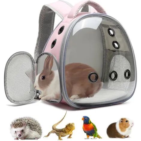 Sac à dos de transport portable pour animaux de compagnie : sac pour hamster, cochon d'Inde, oiseau, petit chien, chat, tortue, lapin, cochon d'Inde, écureuil, dragon barbu, sac à bandoulière respiran (1/3)