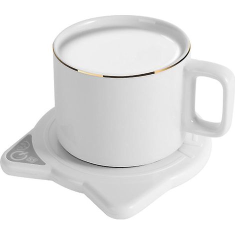 Tasse isotherme électrique portable pour la maison et les voyages (1/4)