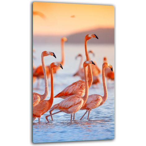 PLAQUE DE PROTECTION EN VERRE POUR INDUCTION 30x52 FLAMANTS ROSES (1/5)