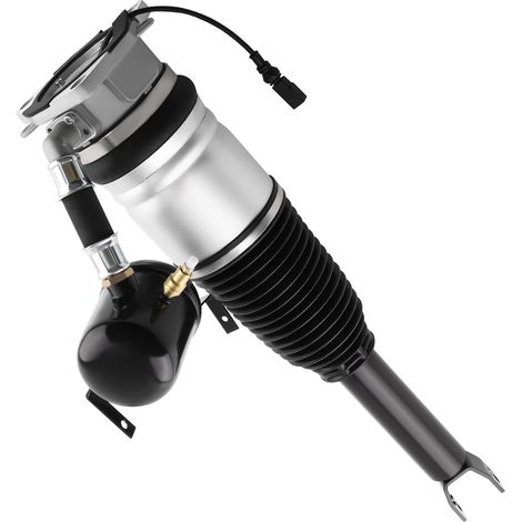 Rear Left Air Suspension Shock Strut For VW Phaeton 3D1 3D2 3D3 3D4 4E0616001N (1/5)