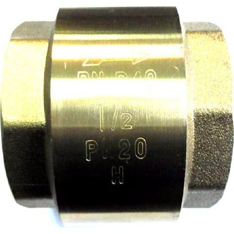 Vanne clapet no-name 6 4 pouce prévention reflux corrosion (1/3)