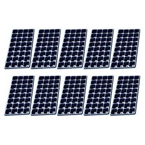 BUNTHAUS Anzuchtset, Setzlingschale 10er Pack Setzlingschale, 32 Löcher Setzlingzellen Starterschale Pflanzbehälter Setzlingplatte (1/5)
