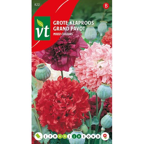 Pavot Somnifère Grand Pavot - Ca. 0,75 gr (Livraison Gratuite)