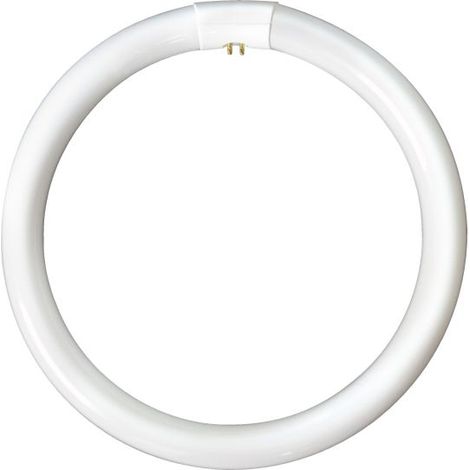 Bell Lighting LP9660 Circular Triphosphor Tube 32w 12 Inch White