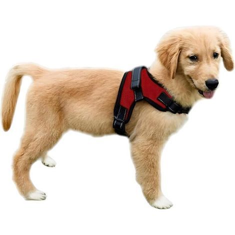 Harnais pour chien avec poignée - Confortable et doux, maille toutes saisons, facile à porter, convient aux chiens de petite, moyenne et grande taille (rouge) M (52-66 cm) (1/4)