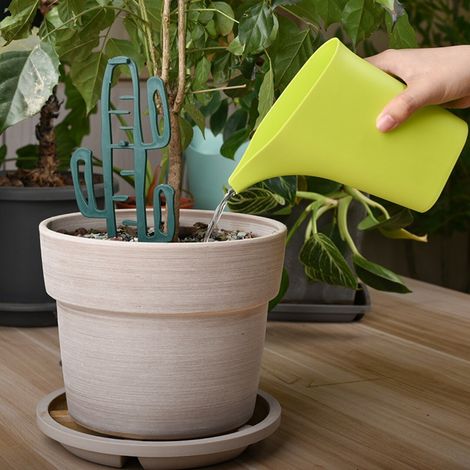 10-teiliges Gießkannen-Set mit feinem Ausguss, Gießkanne mit schmaler Düse für Zimmerpflanzen, präzise Gießkanne für Sukkulenten und Blumen, ideal für Balkone und Gärten