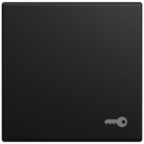 Busch-Jaeger Bascule avec impression Avec symbole "Clé" Symbole "Clé" pour interrupteur/bouton-poussoir, 1 fois noir matt - Busch-balance® SI (2520 TR-915), 2CKA001731A4049