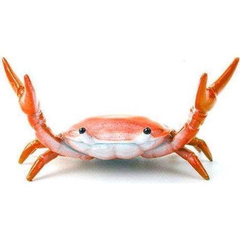 Creative mignon crabe porte-stylo haltérophilie crabe porte-stylo support support de rangement cadeau papeterie(rouge) (1/5)